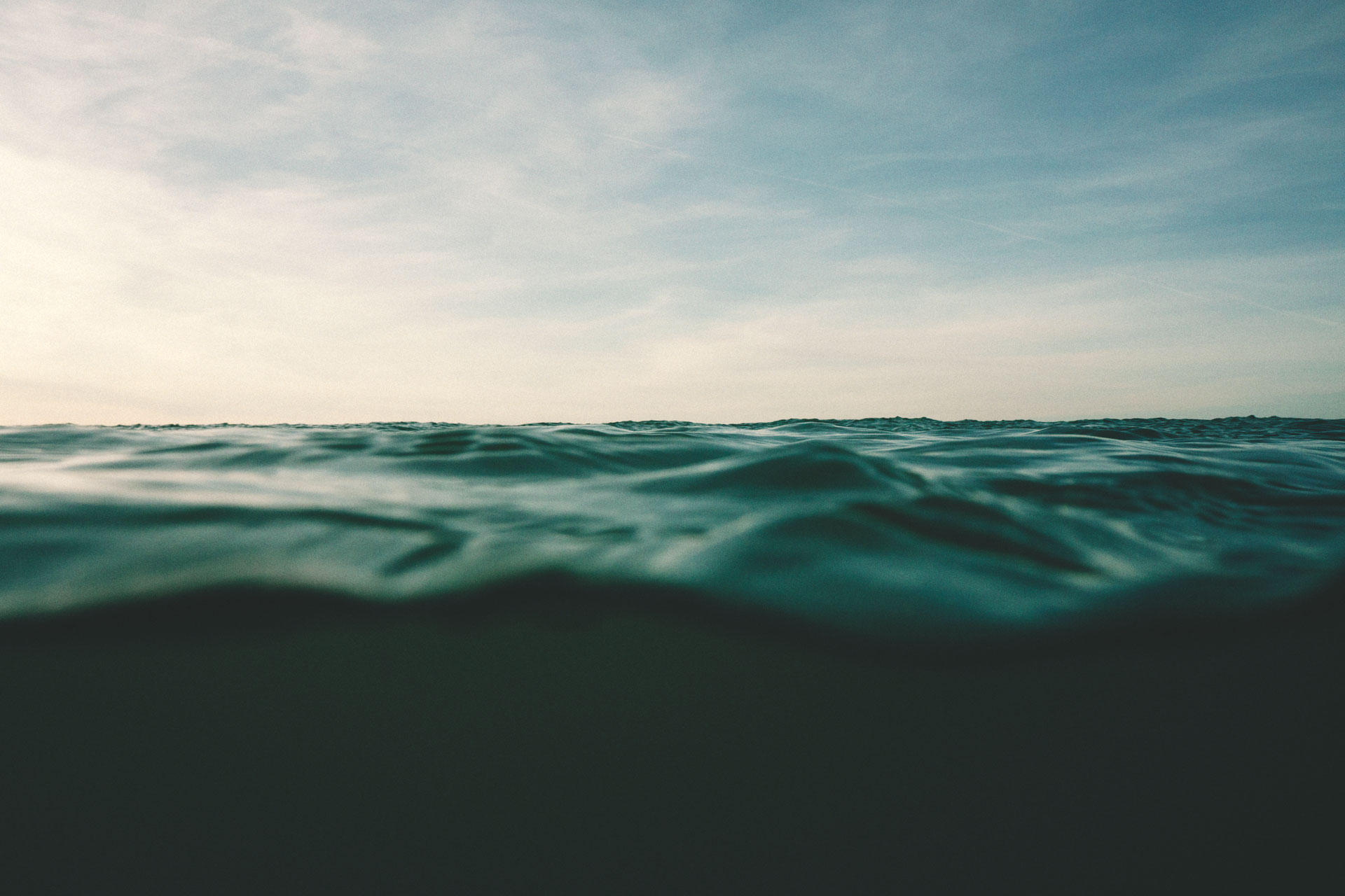 Warrior, Mata Clothing ®