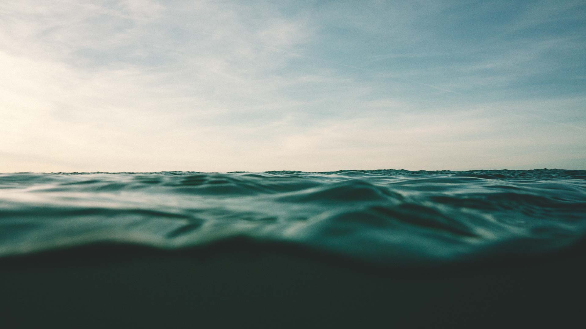 Warrior, Mata Clothing ®